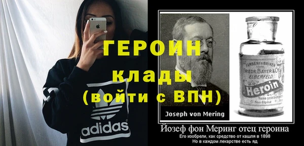 индика Ладушкин