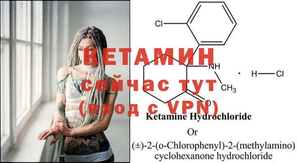 индика Ладушкин
