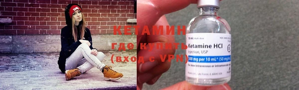 прущие грибы Куйбышев