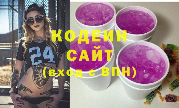 индика Ладушкин