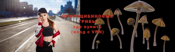 марки lsd Лабытнанги