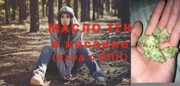твердый Лагань