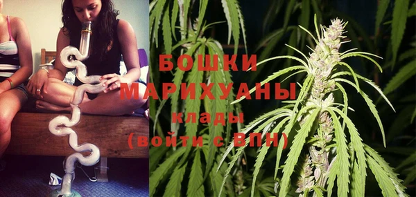 прущие грибы Куйбышев
