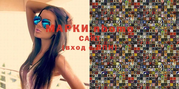 индика Ладушкин