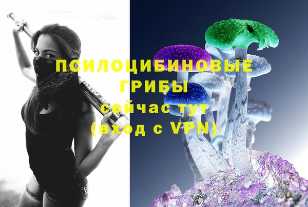 мяу мяу мука Кукмор